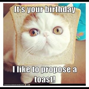 Meet your Posher, Meredith